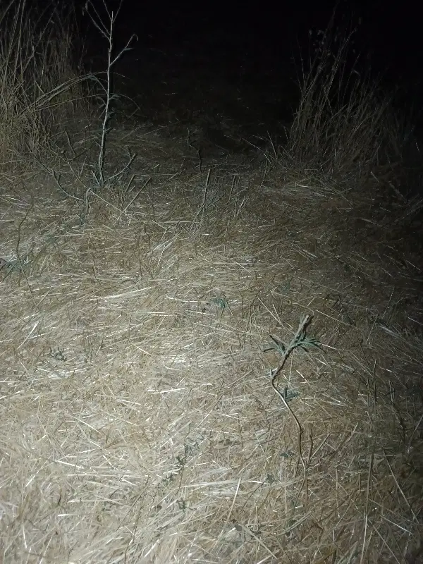 اجاره زمین کشاورزی