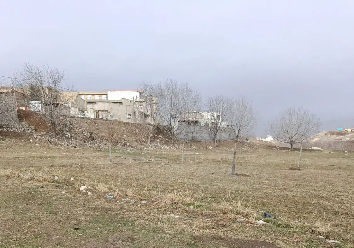 زمین چالسرا 260متر
