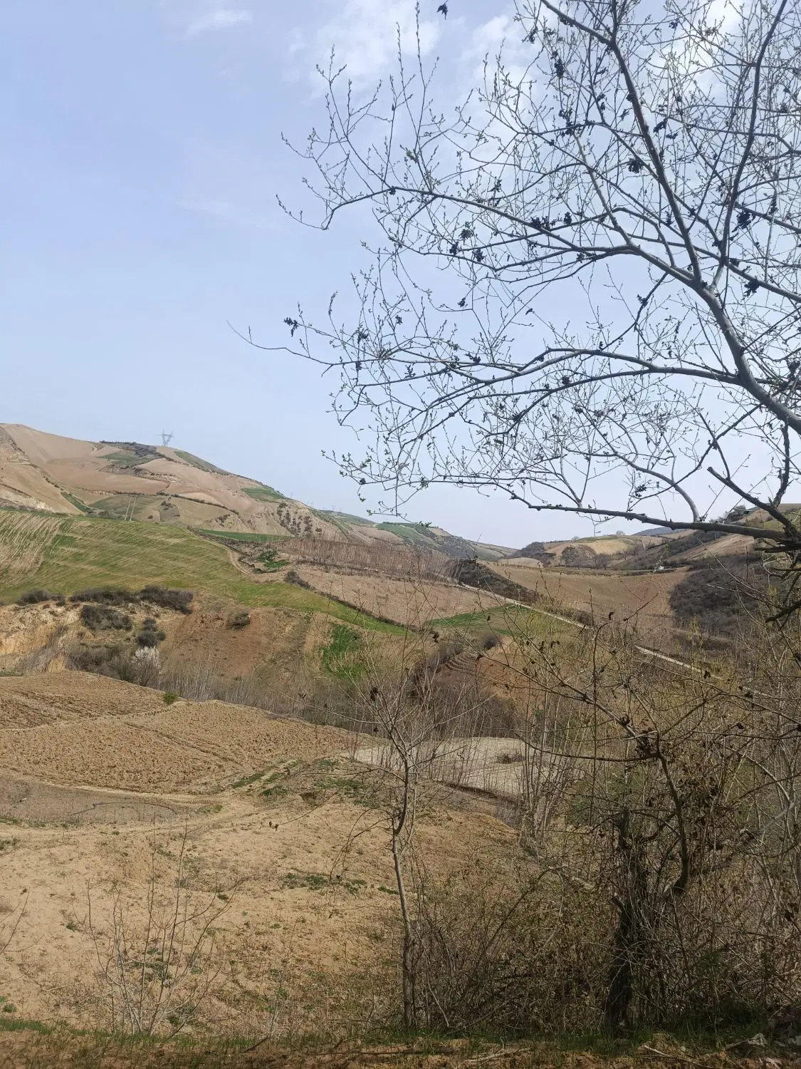 فروش زمین ۱۴۴ متری در تقی آباد