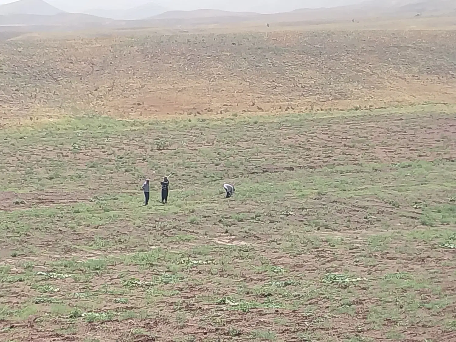 زمین فروشی