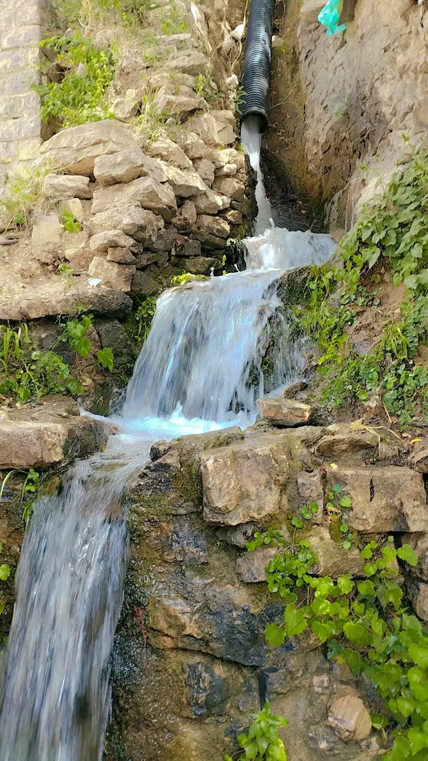 باغ در صلوات آباد