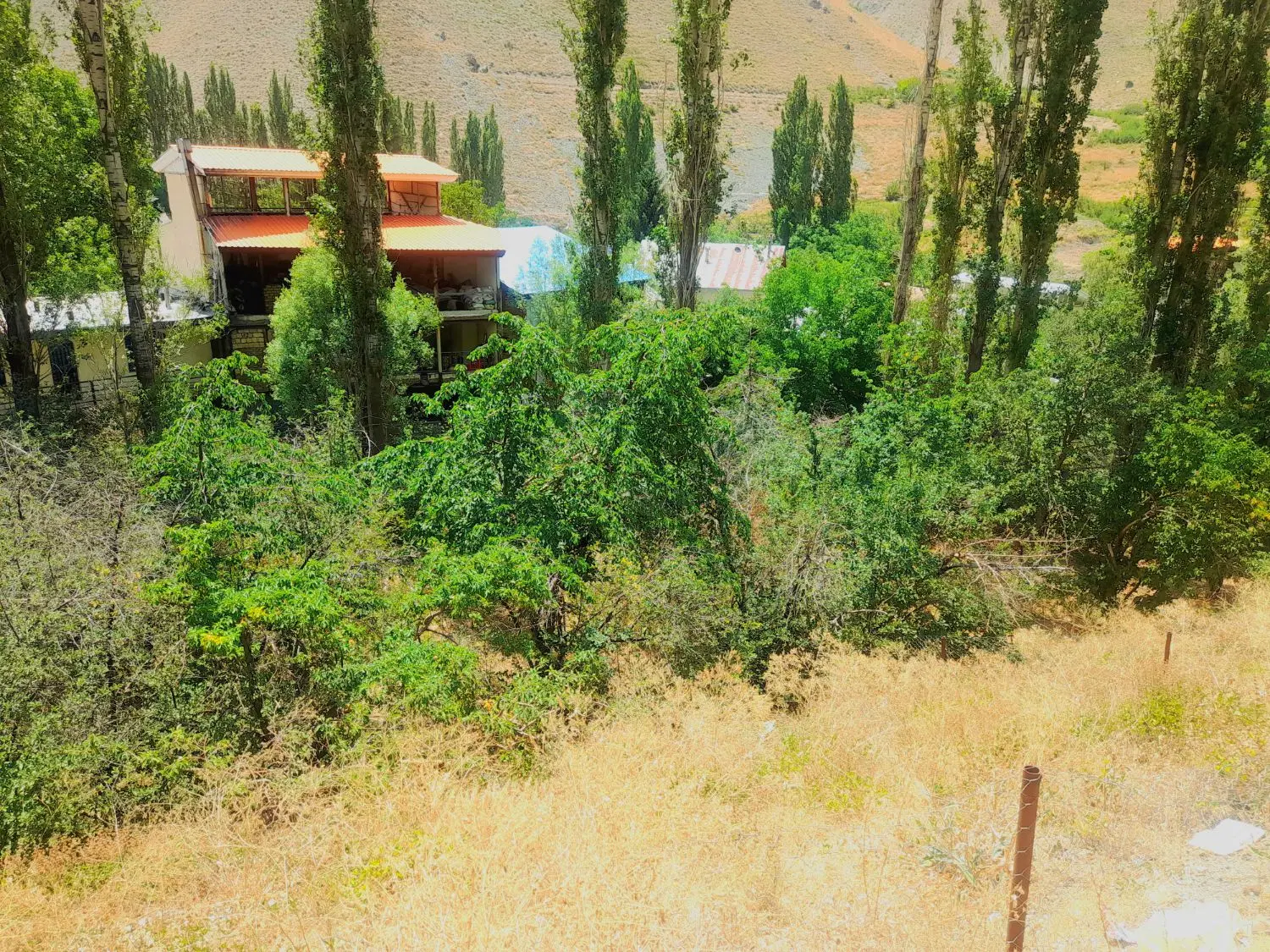 زمین باغی.زراعی