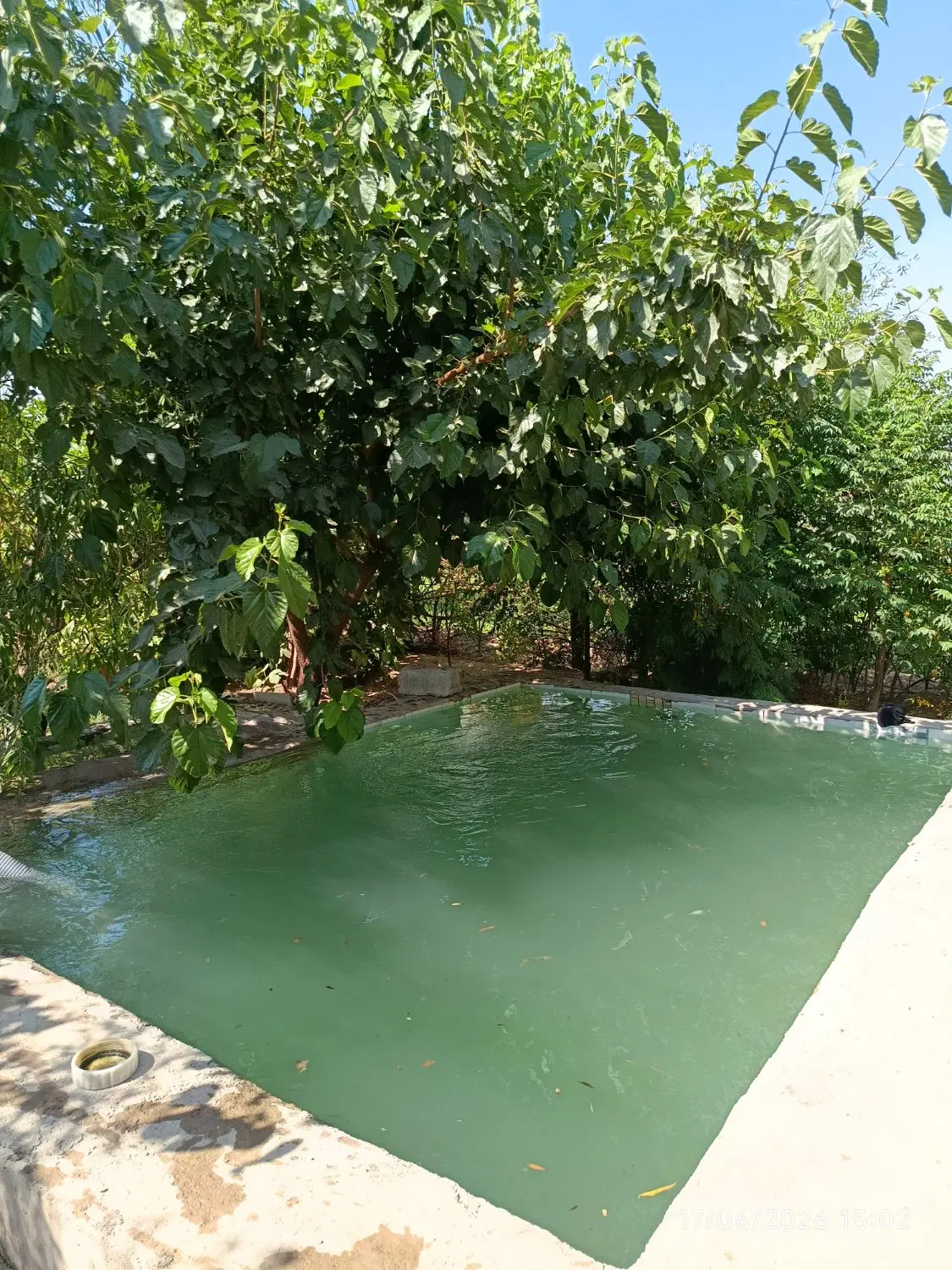 باغچه ۵۷۶ متری