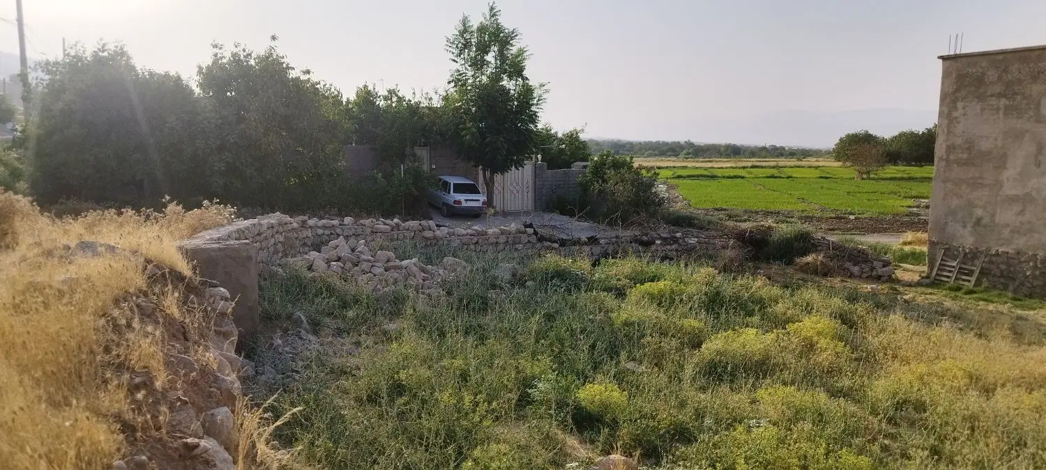 زمین