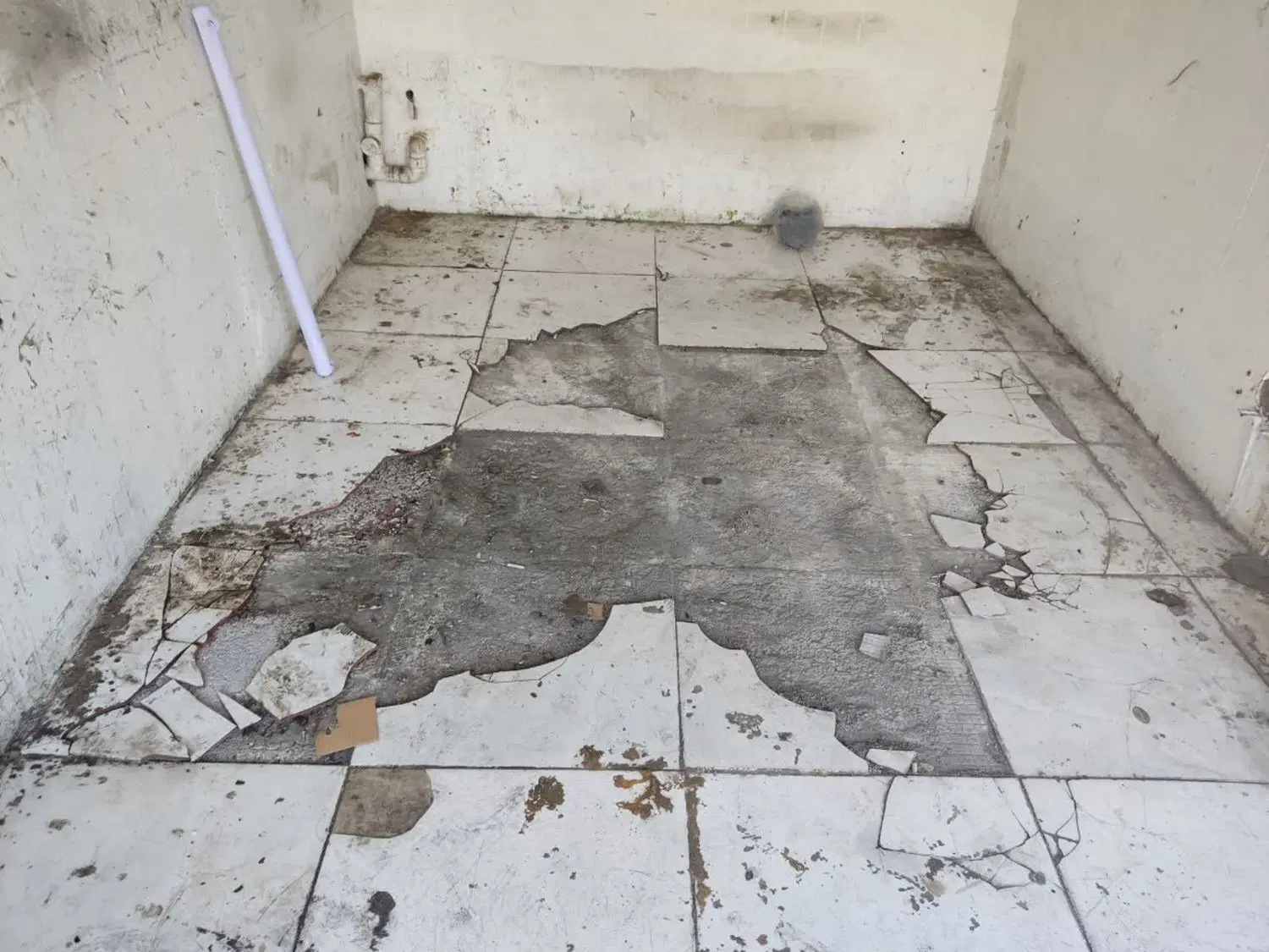 مغازه برای اجاره