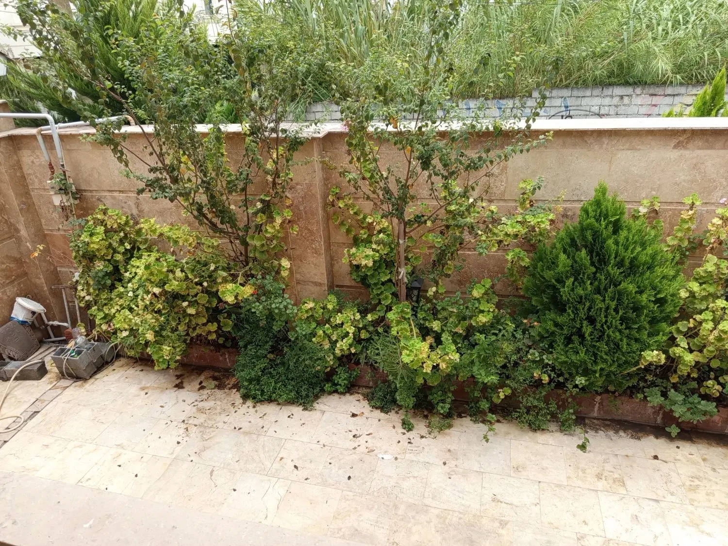 فروش ویلایی شهرک ساحلی