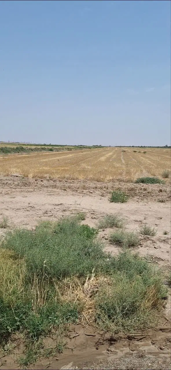 یک. قطعه زمین ۲هزار متری