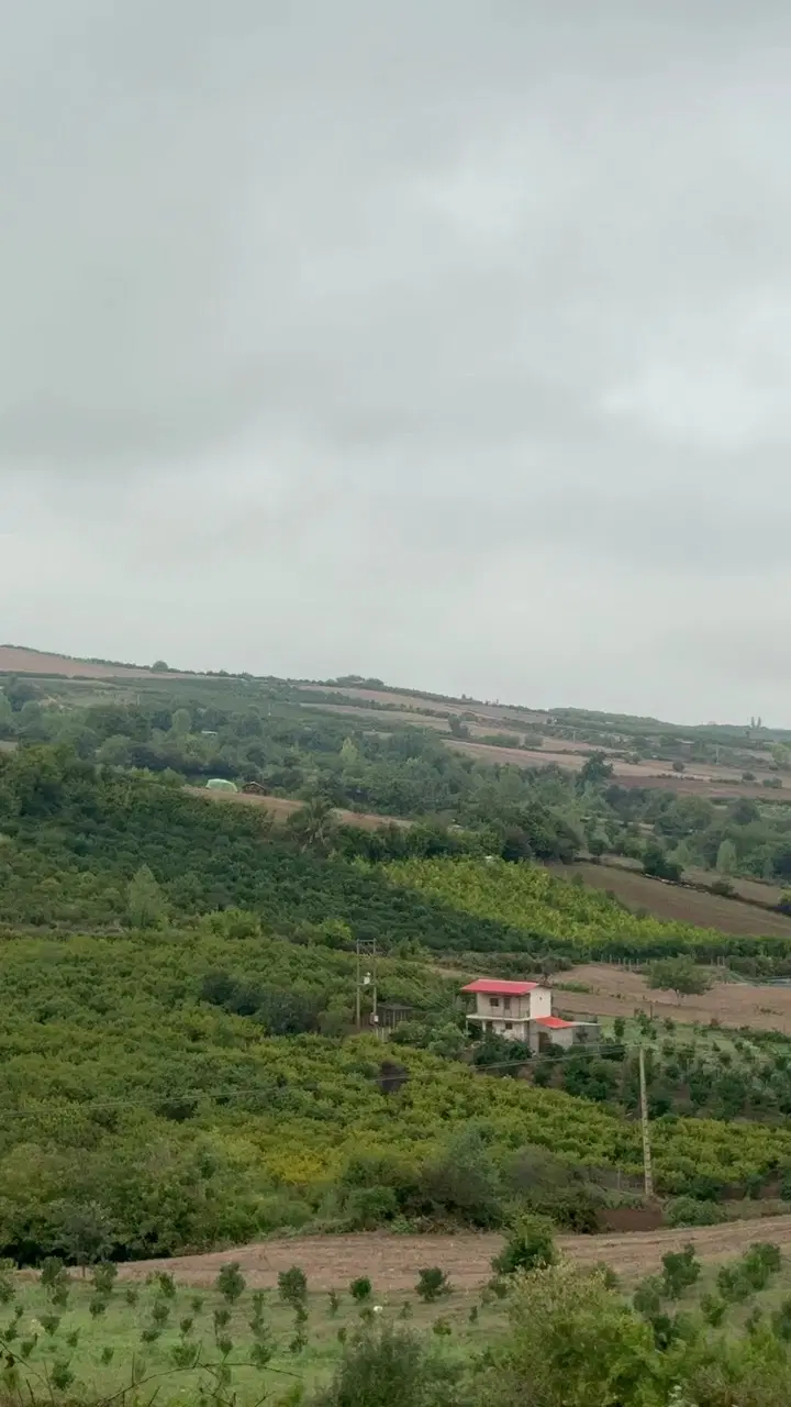 زمین خوش‌آب‌وهوا و خوش‌ویو کنار آسفالت جامخانه