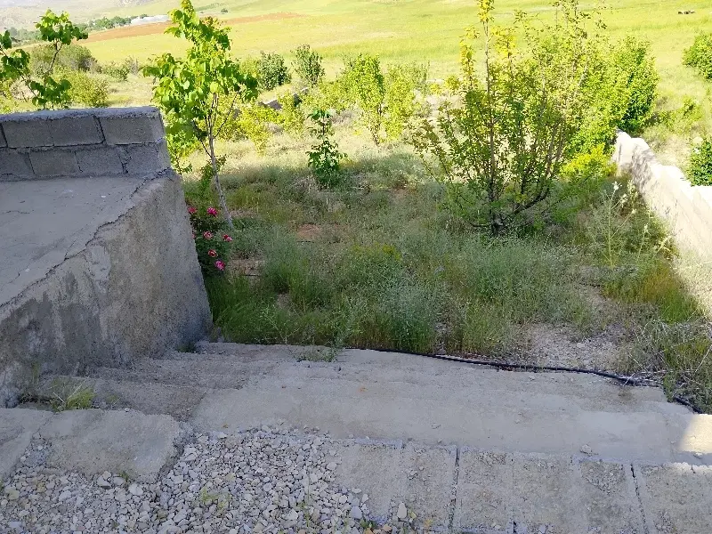 باغ شهری دشت ارژن زنگنه