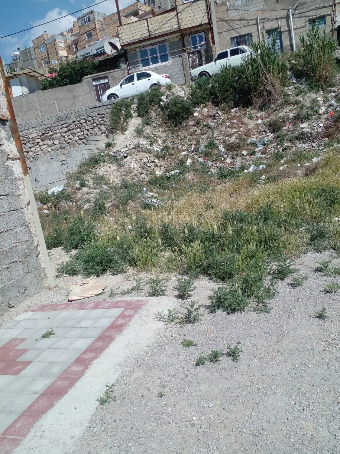 زمین