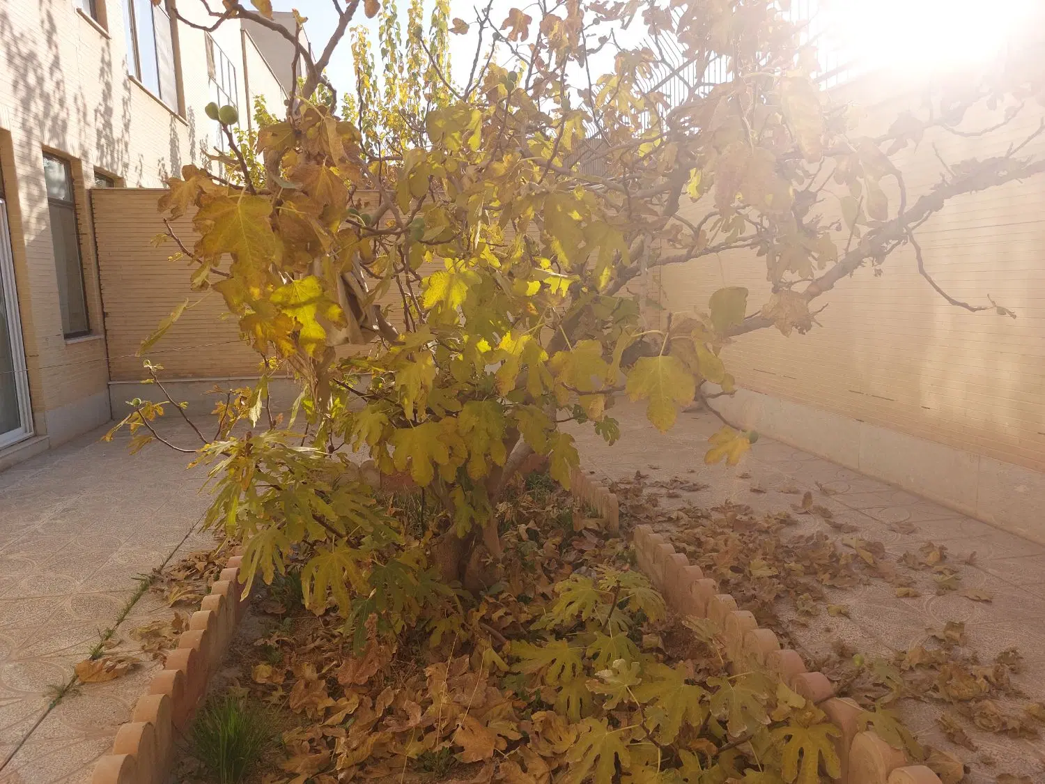 رهن و اجاره منزل ویلایی خیابان شاهد