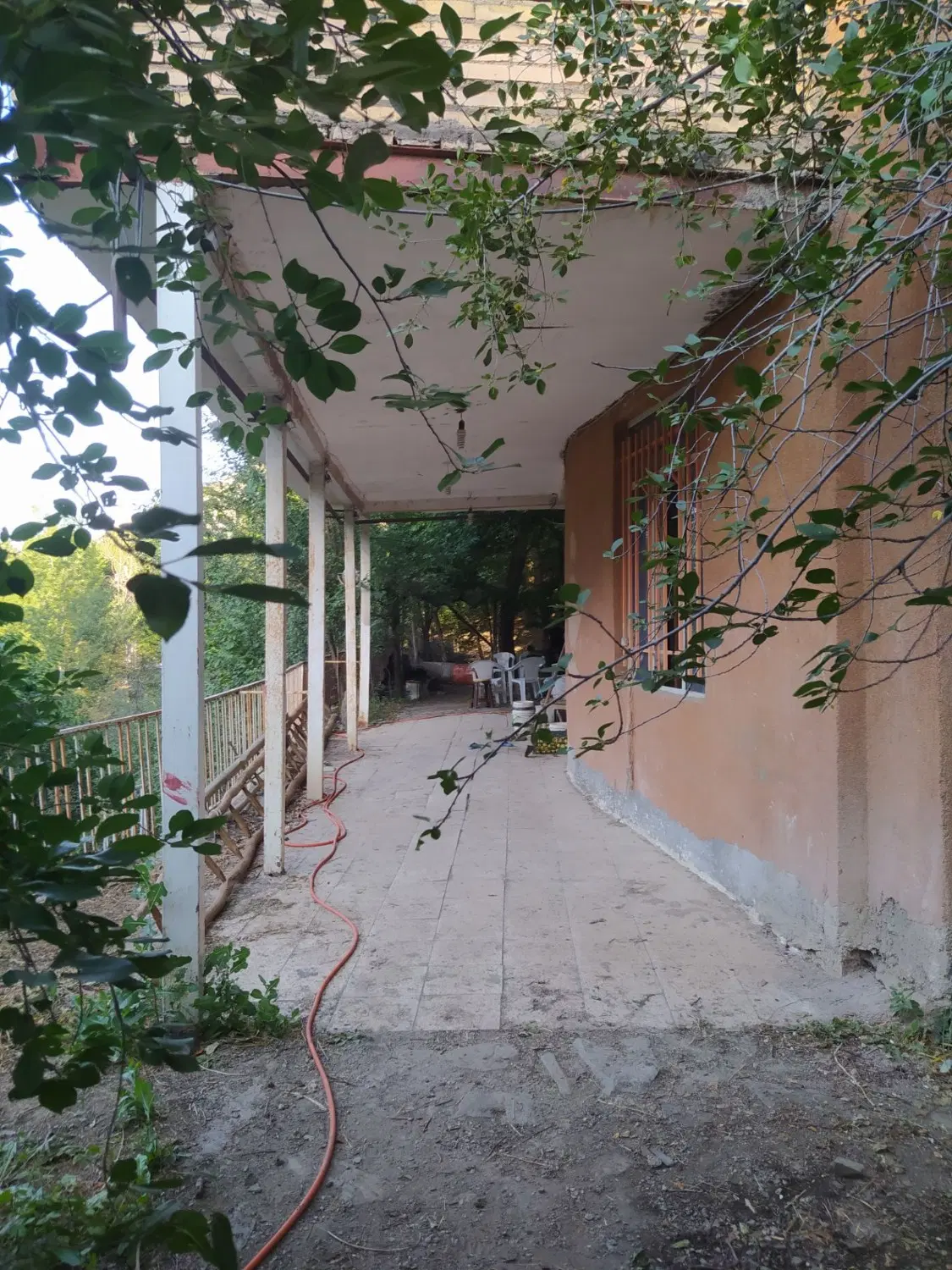 باغ ملکی سند 6 دانگ در روستای کنگ