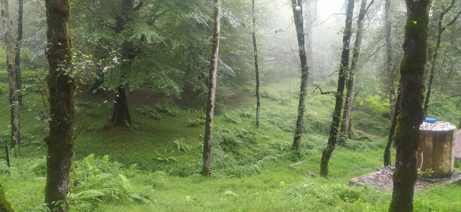 فروش زمین چهار فرزندی سند آزاد