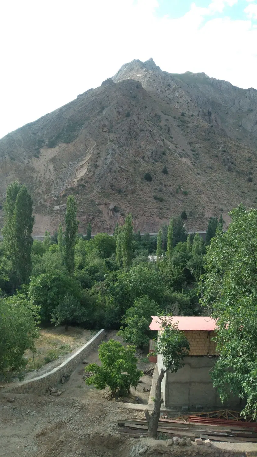 باغ وباغچه