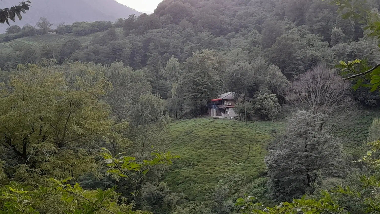 ویلاجنگلی قلعه رودخان