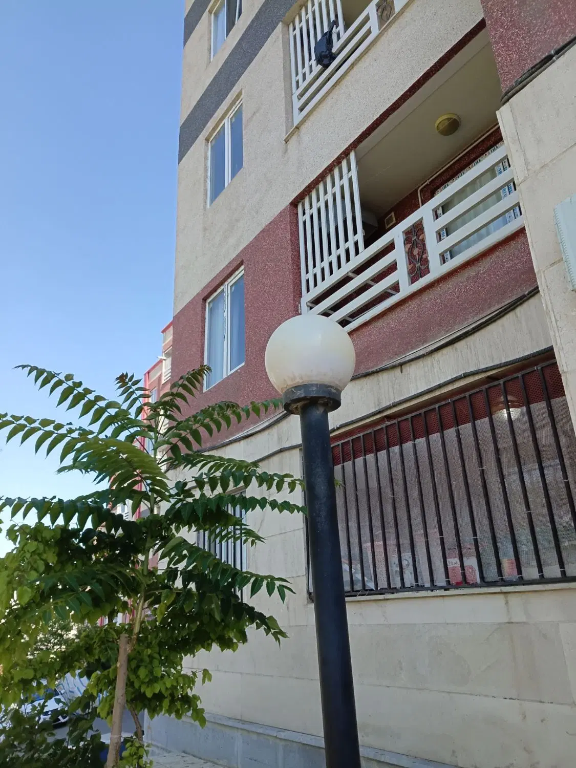 کاج دو خوابه شمالی فول
