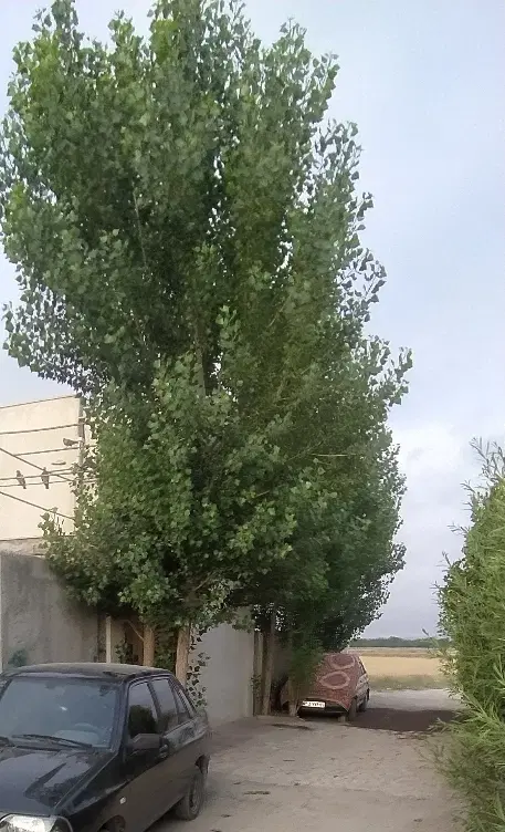 خانه ویلایی گلمغان