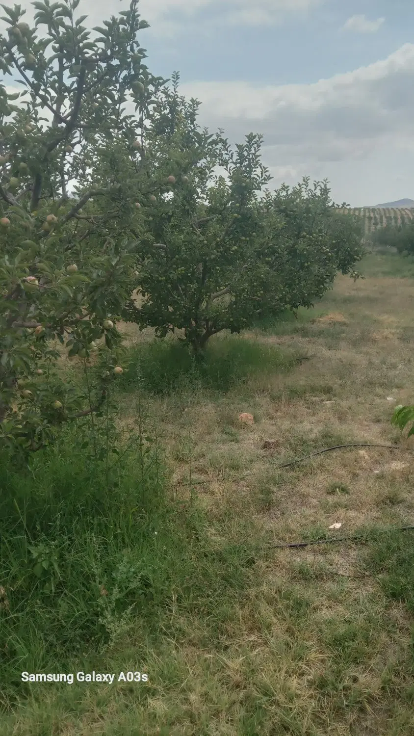 فروش باغ قطره ای  در پسته بیگ با شرایط