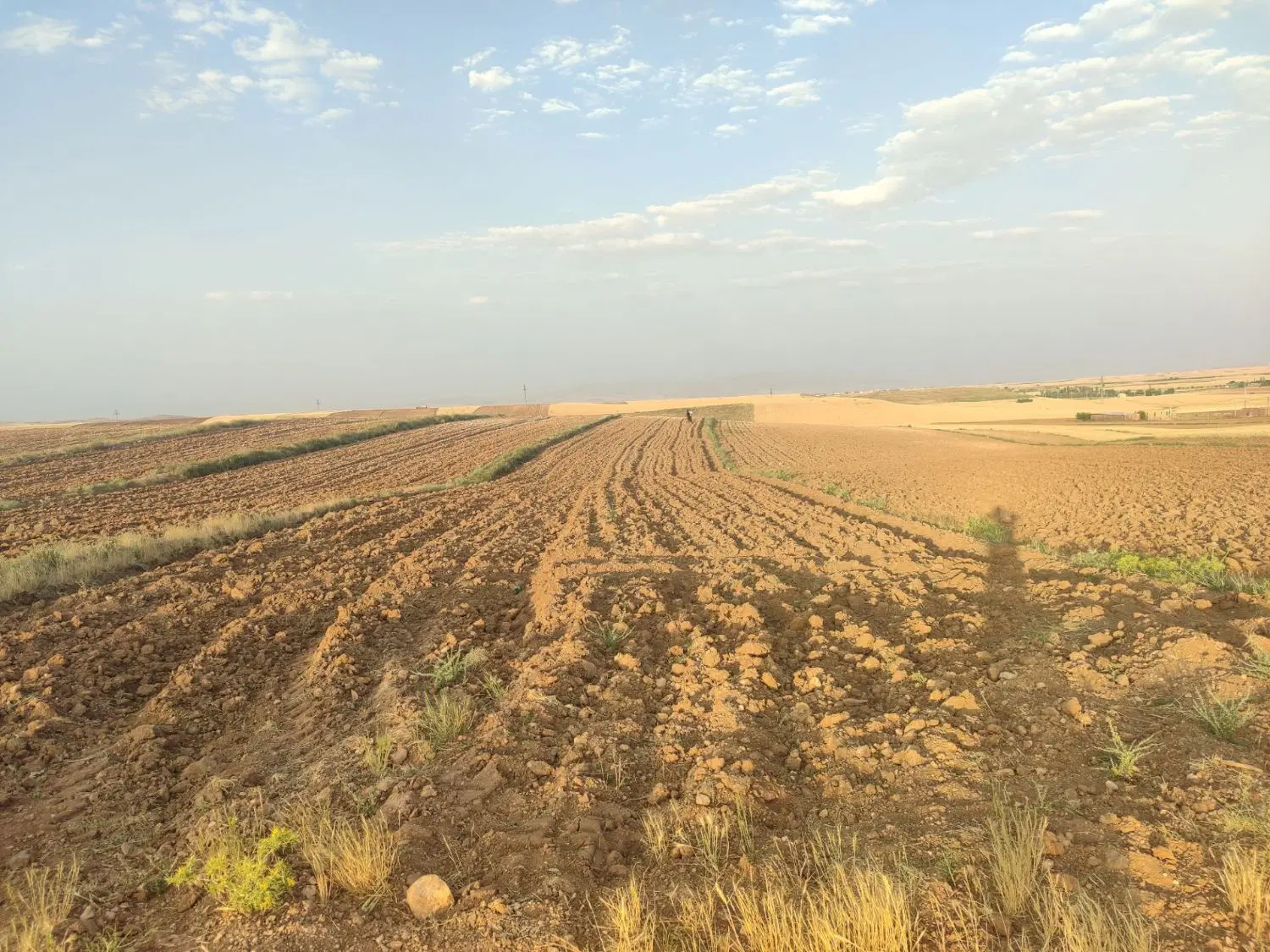 زمین کشاورزی