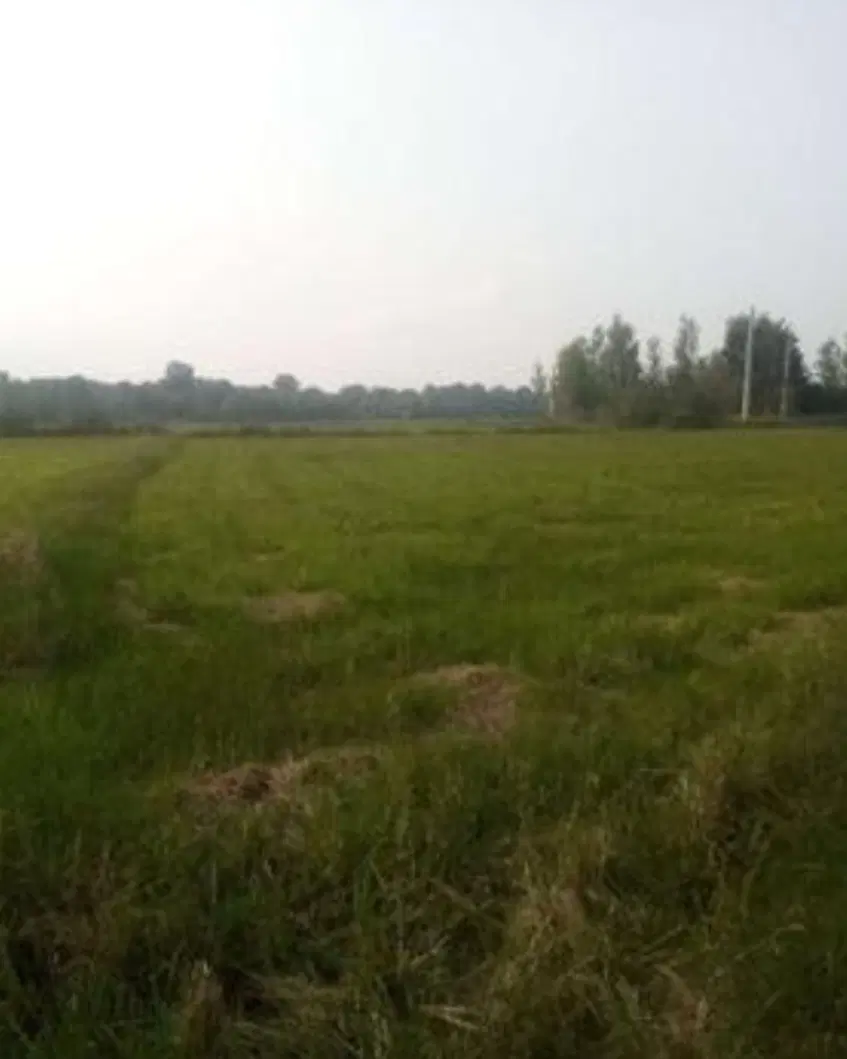 زمین روستای ورکاده آمل
