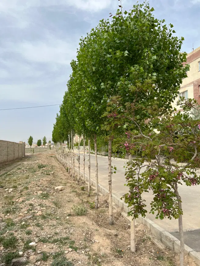 زمین آموزشی