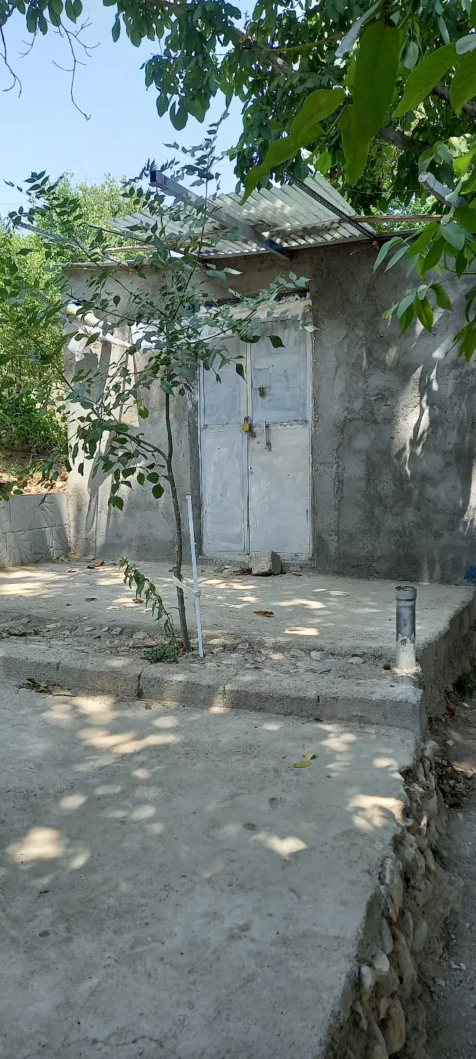 فروش باغ