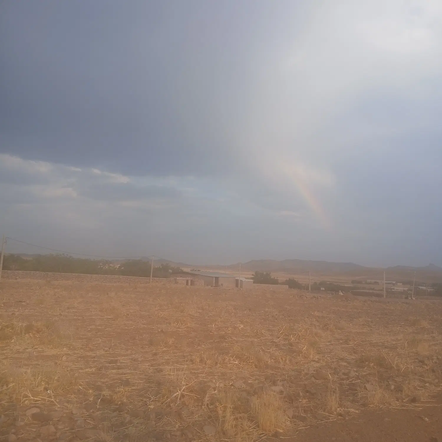 فروش زمین