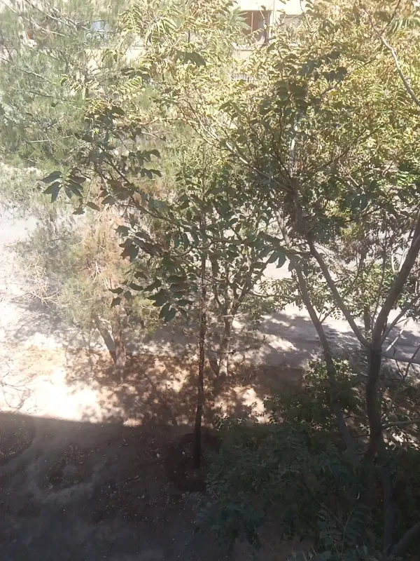 ۵۰۰متر باغچه در ملاردویلای جنوبی