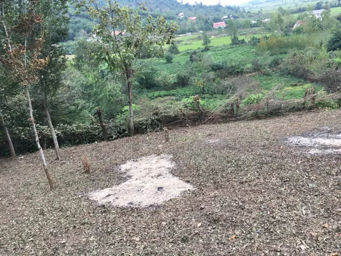 زمین باغی  ۴۰۰ متر قلعه رودخان