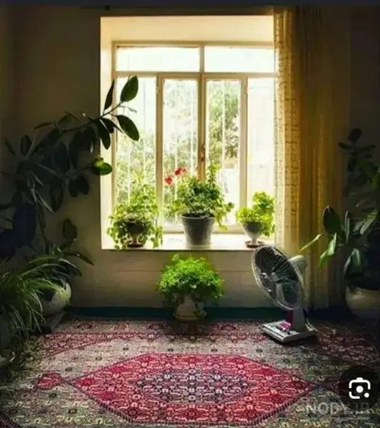 همخانه-همخونه
