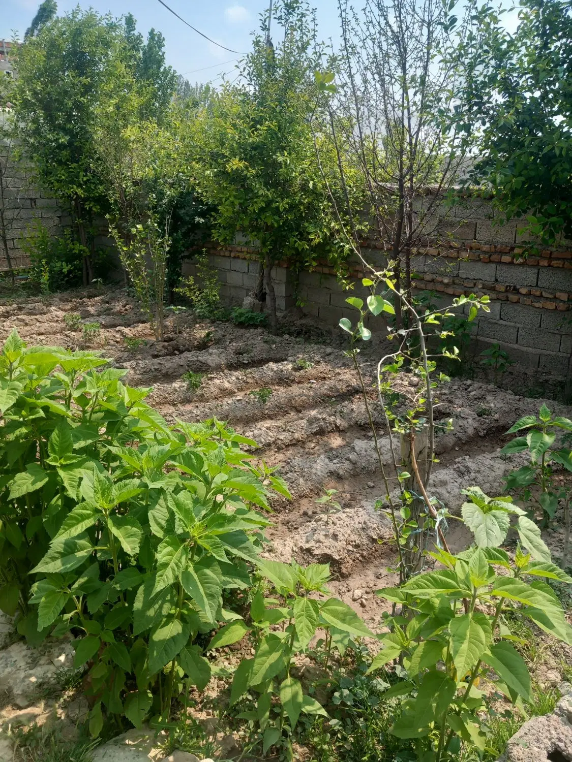 خانه ویلایی درگلمغان