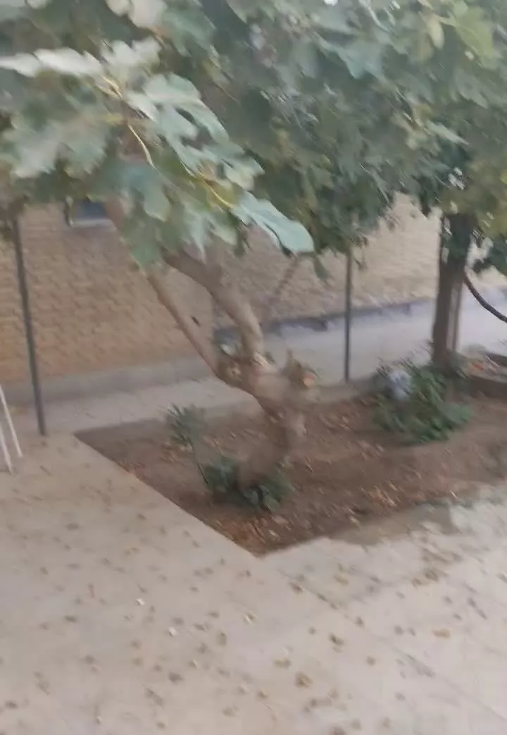 منزل دربست حیاط دار
