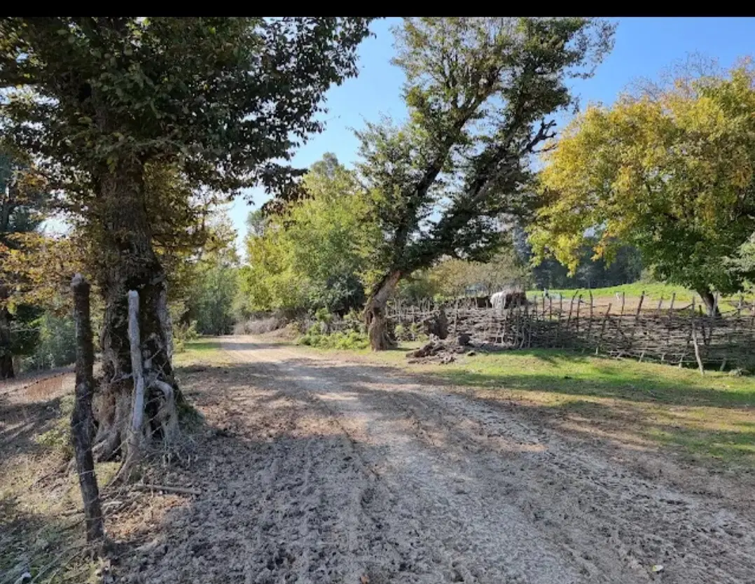 زمین واقع در مازندران ساری جاده کیاسرروستای کرسام