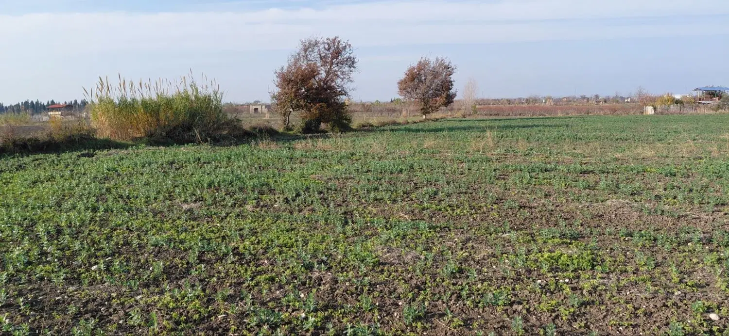 زمین. کشاورزی
