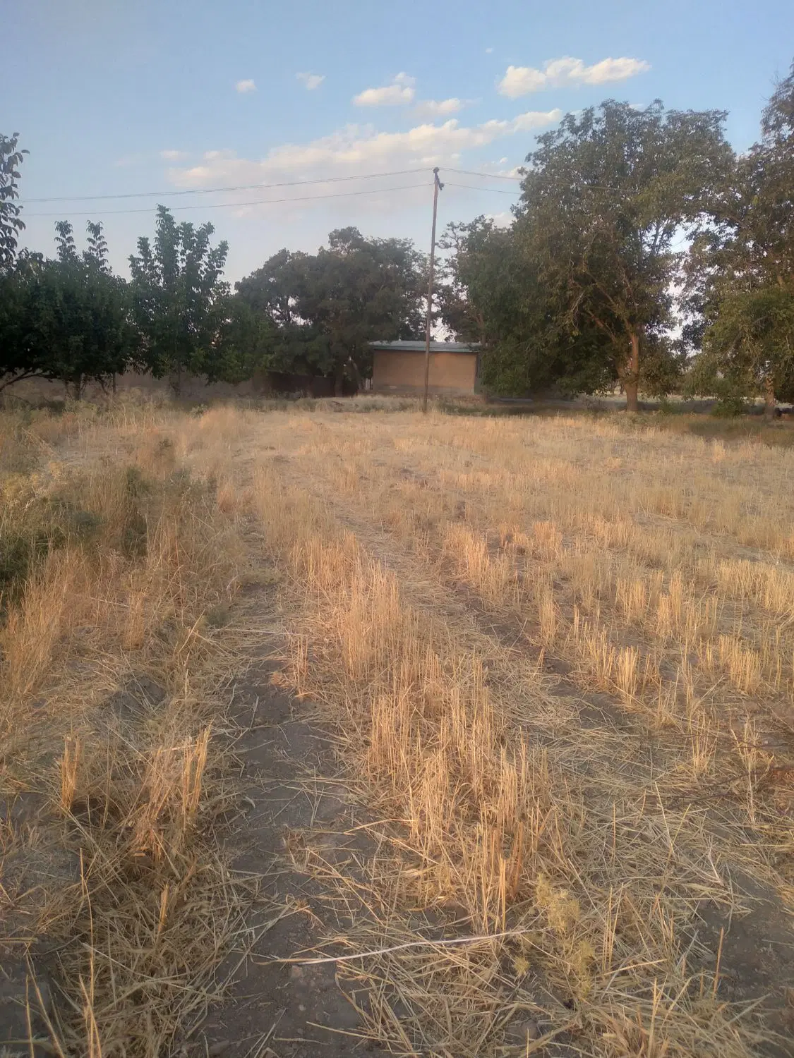 زمین کشاورزی حسین آباد