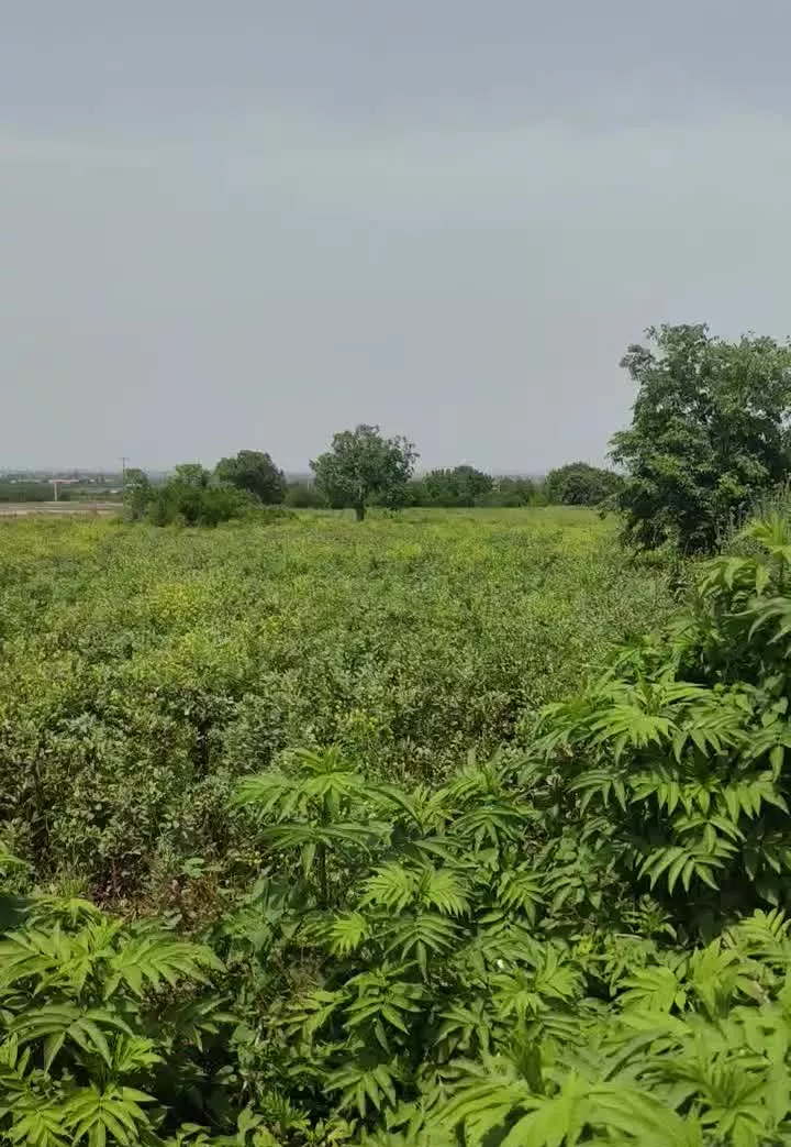 زمین ابتدای شهر و بر جاده سراسری شهرستان بهشهر