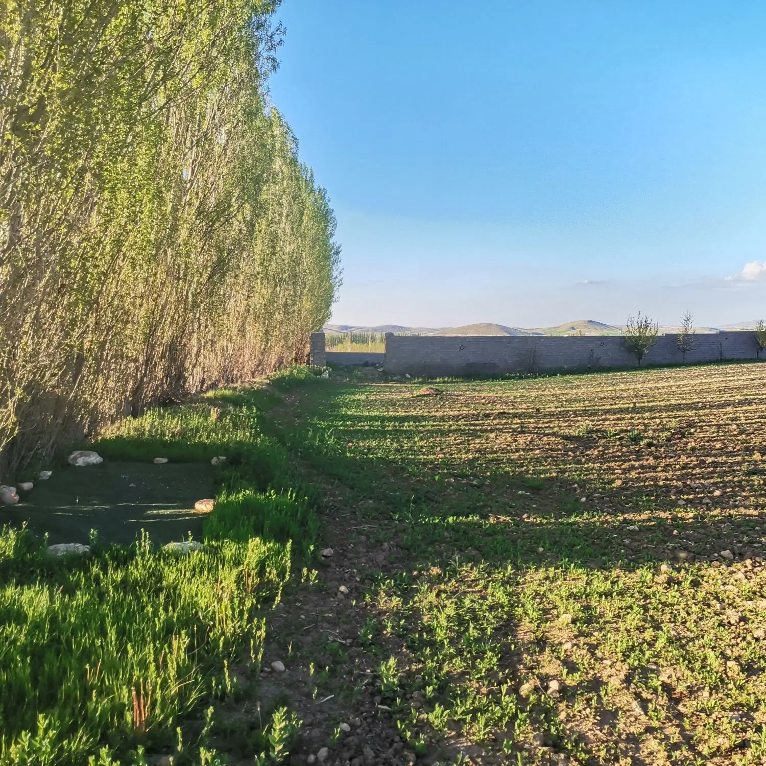 فروش ۲۴۰۰ متر زمین خانه باغ