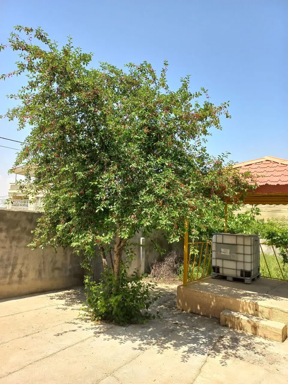 فروش فوری باغ ویلا به صورت مبله در روستای بدرانلو