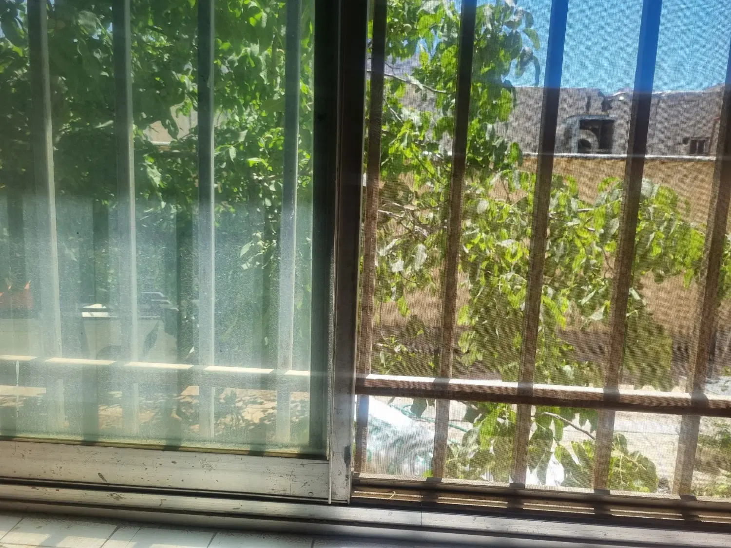 همکف حیاط اختصاصی