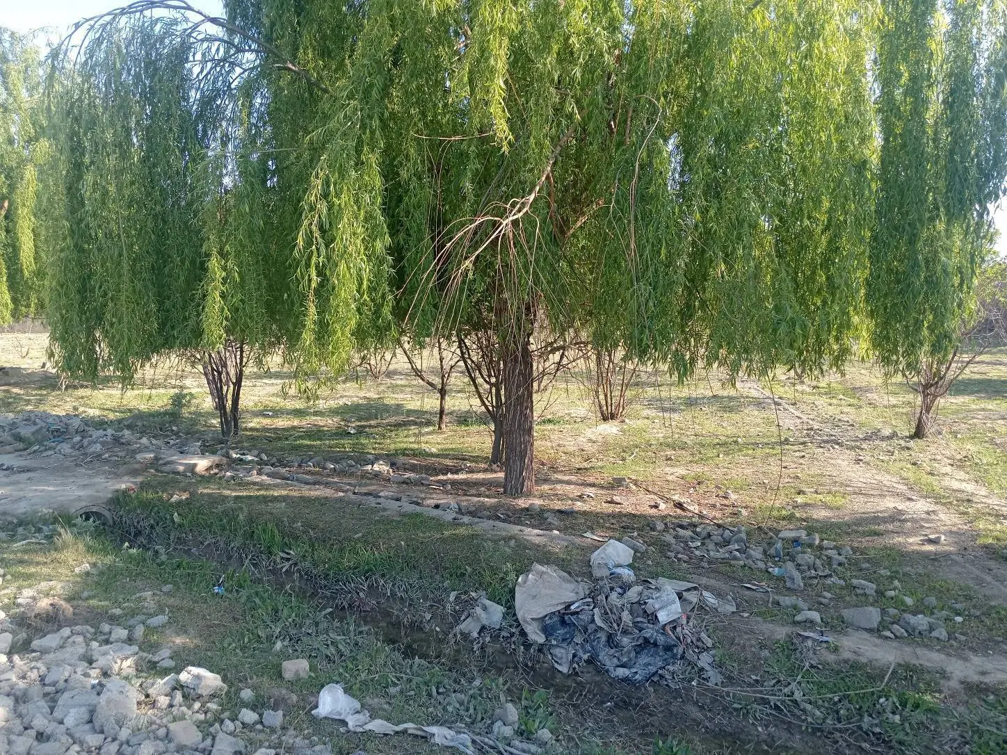 باغچه 450متری هشتگرد قاسم آباد