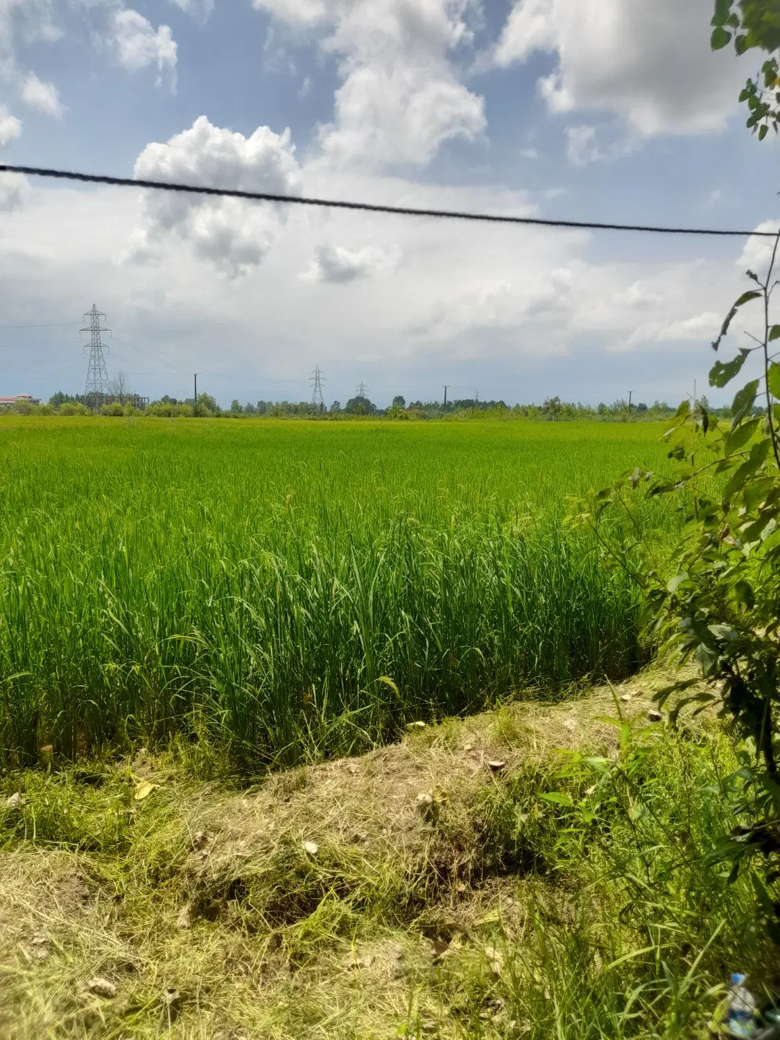 خانه روستایی