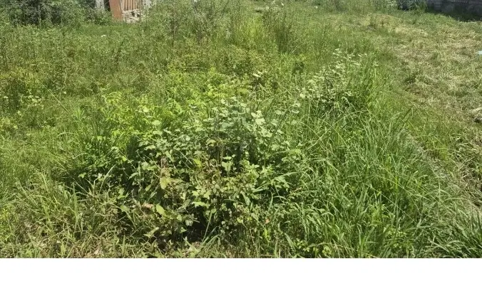 ۱۲۰متر زمین مسکونی