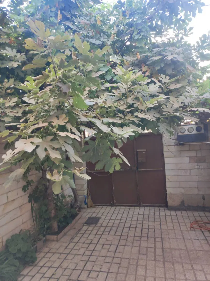 واحد ویلائی در دوطبقه و نیم