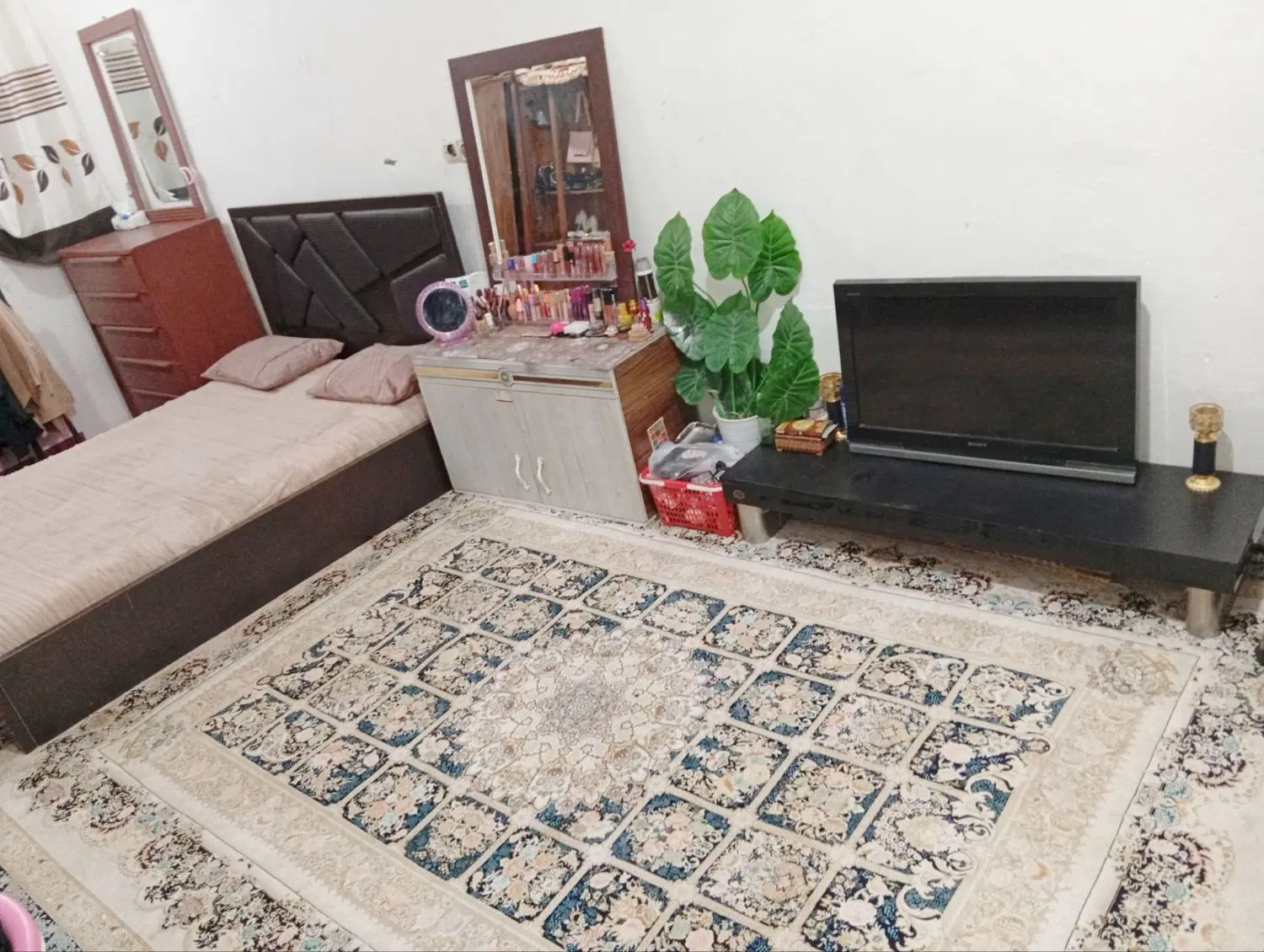 کوی سادات