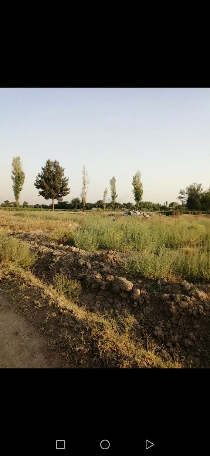 زمین کشاورزی
