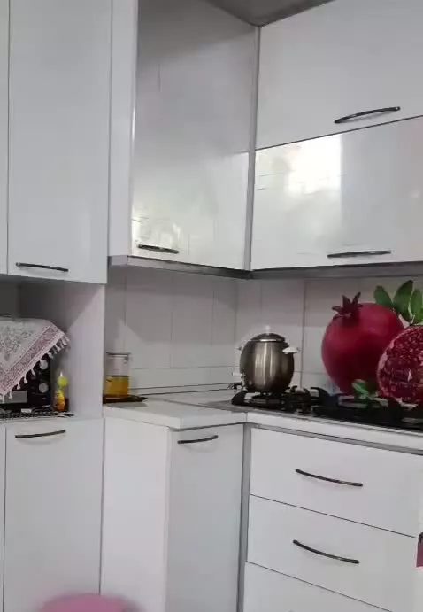 پروژه لادن ۲ خوابه