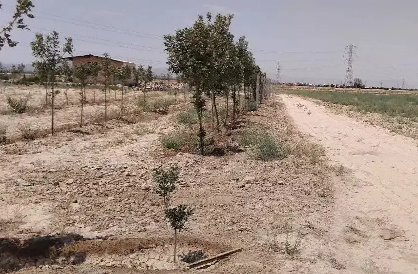 زمین احمدآباد