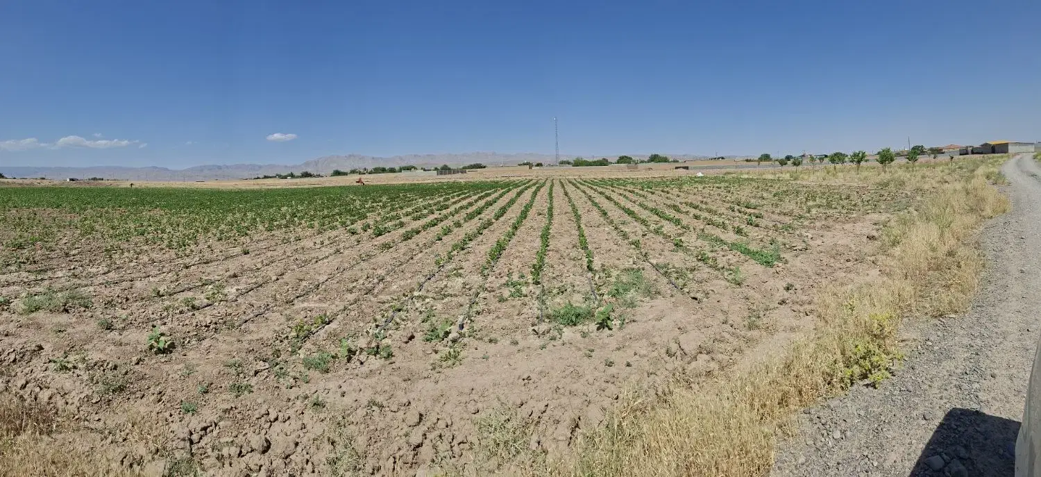زمین فروشی