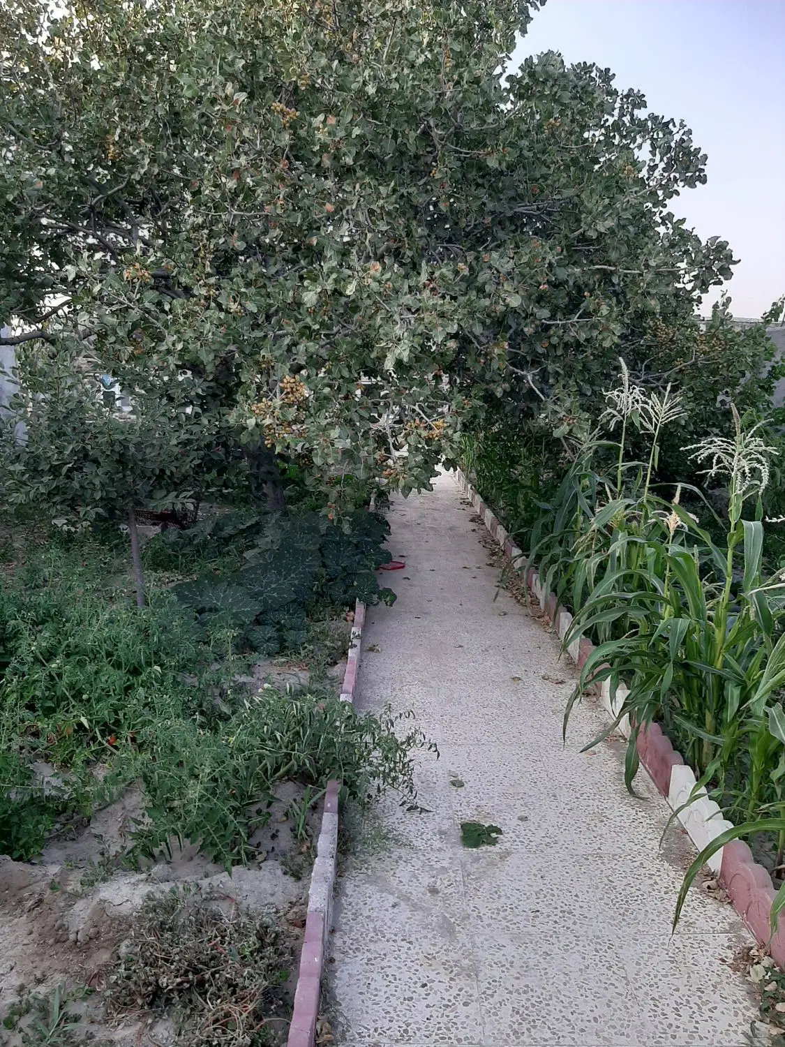 فروش باغ ویلا