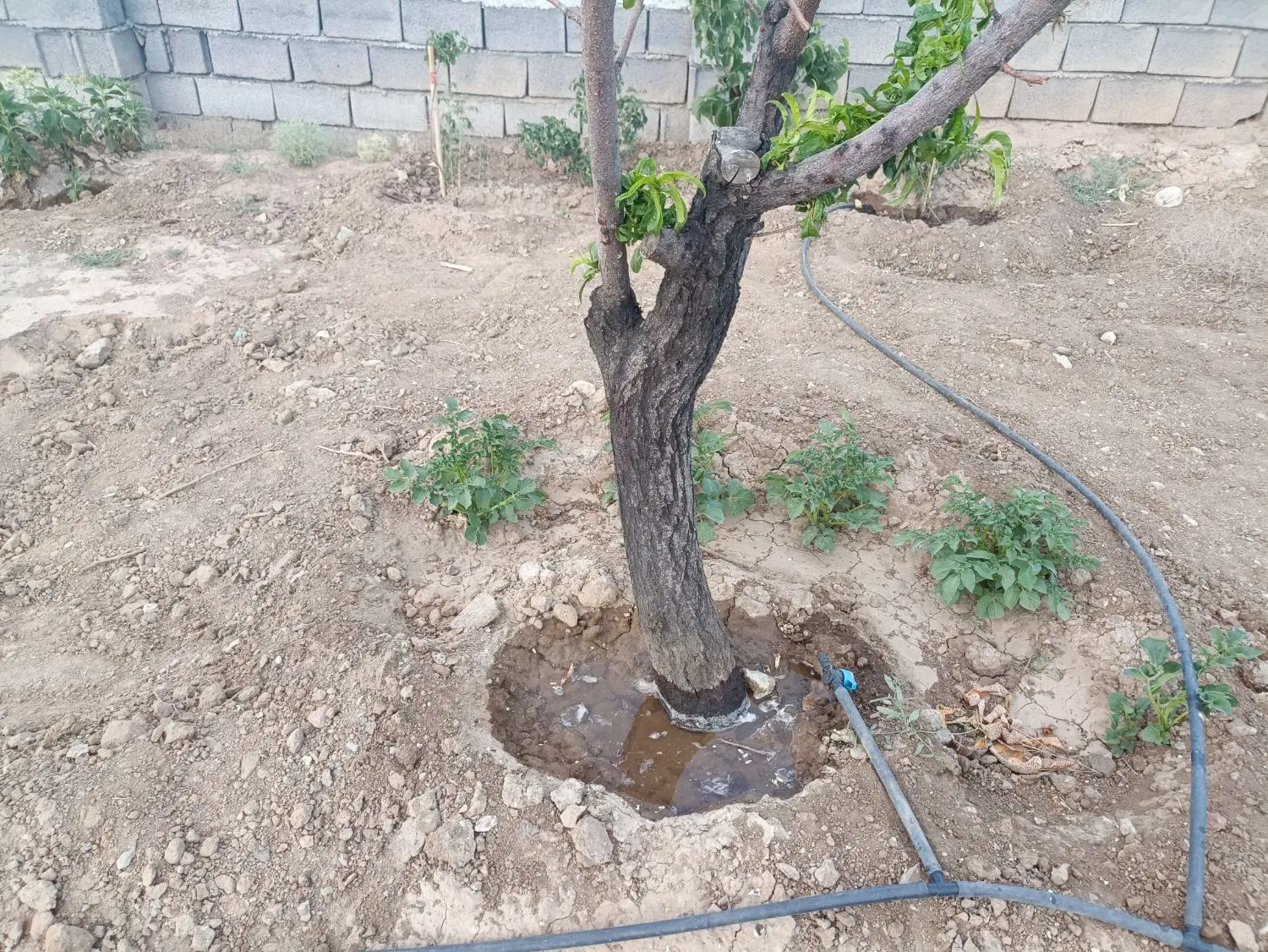 فروش باغ با ویو‌ خوب مناسب تفریح و دورهمی